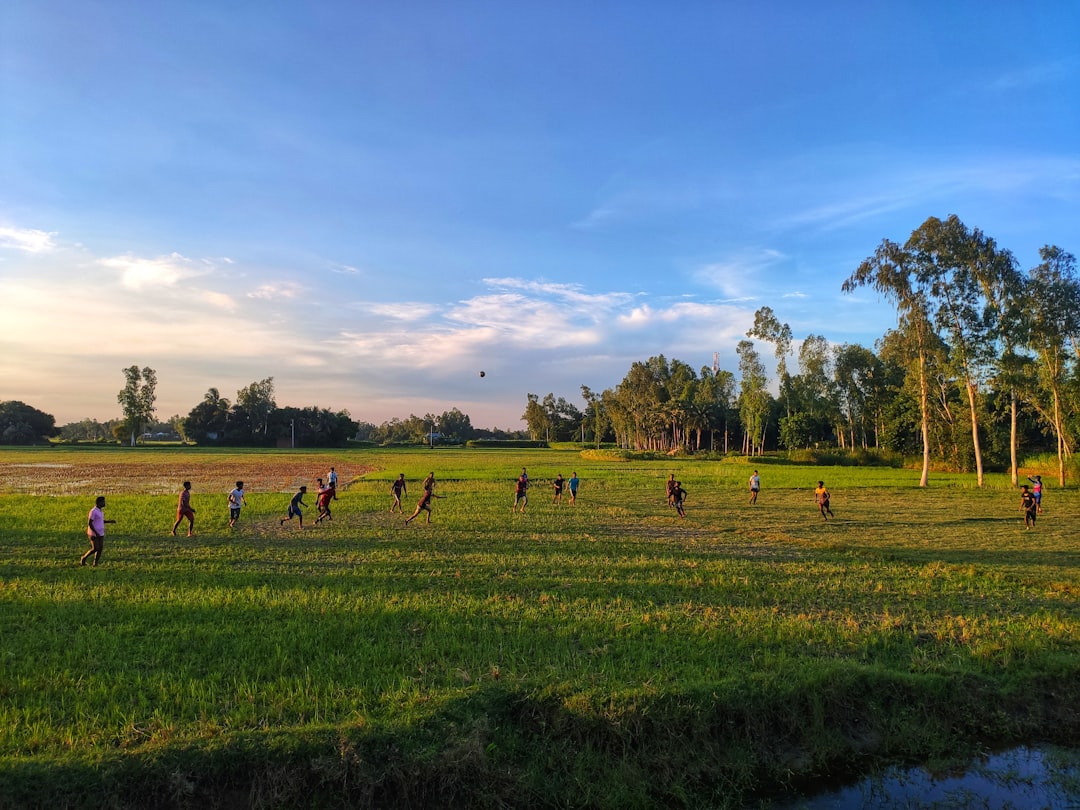 wf a wyniki w nauce, ruch a pamięć, sport a koncentracja, aktywność a nauka